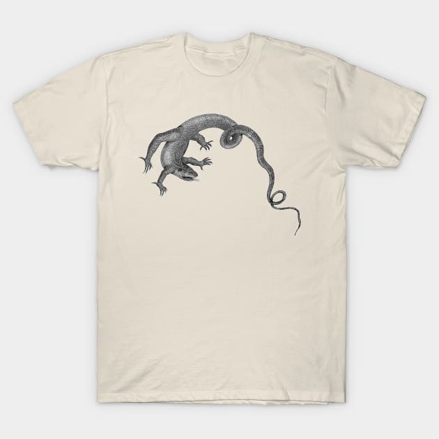 Komodo Dragon | Giant Lizard Reptile T-Shirt by encycloart